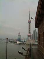 pudong